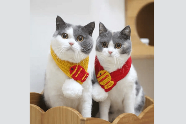 Các mẫu quần áo chó mèo chơi tết