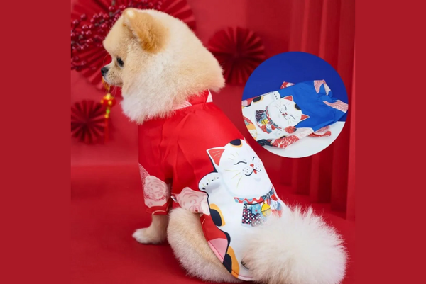 Các mẫu quần áo chó mèo chơi tết