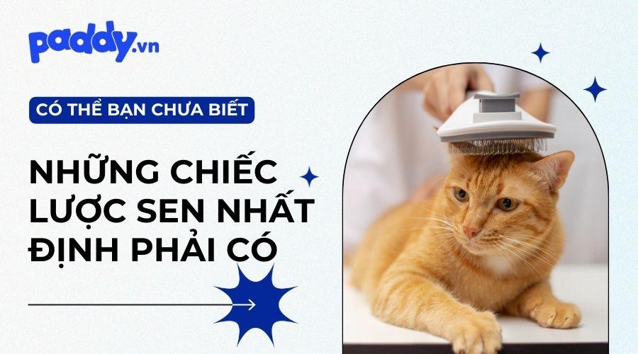 Top 7 Lược chải lông chó mèo gỡ rối, giảm rụng lông