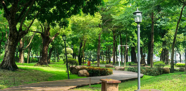 cong-vien-hoang-van-thu