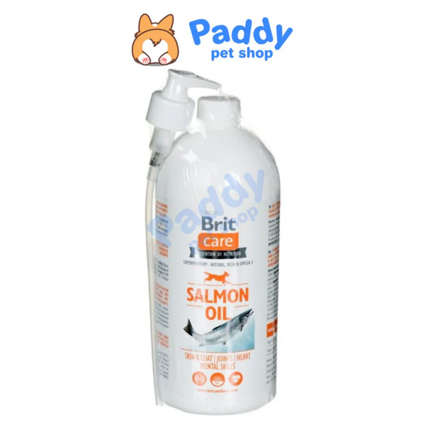 dau-ca-brit-care-cho-cho-meo
