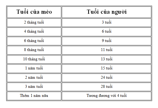 cach-tinh-tuoi-meo-so-voi-tuoi-nguoi