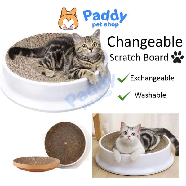 Vật dụng chăm sóc thú cưng tại nhà