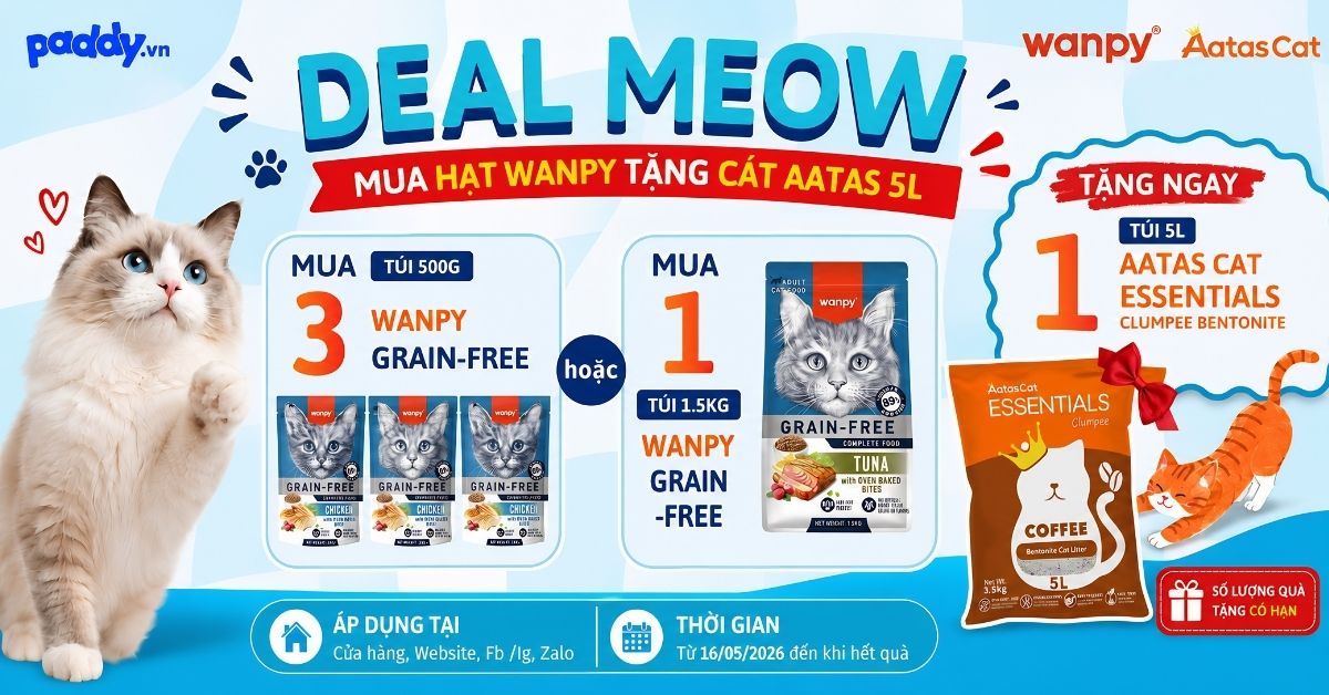MUA HẠT WANPY MÈO – TẶNG NGAY CÁT AATAS 5L SIÊU HỜI