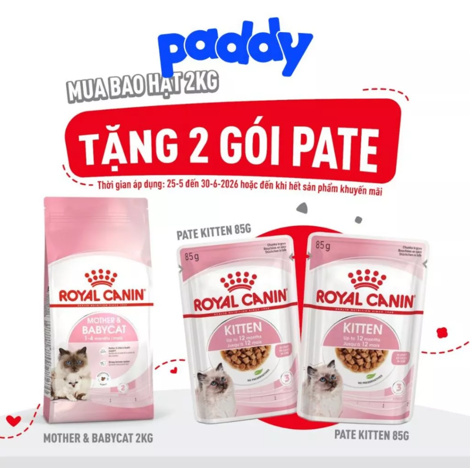 Thức Ăn Hạt Cho Mèo Mẹ & Mèo Con Royal Canin Mother & Babycat