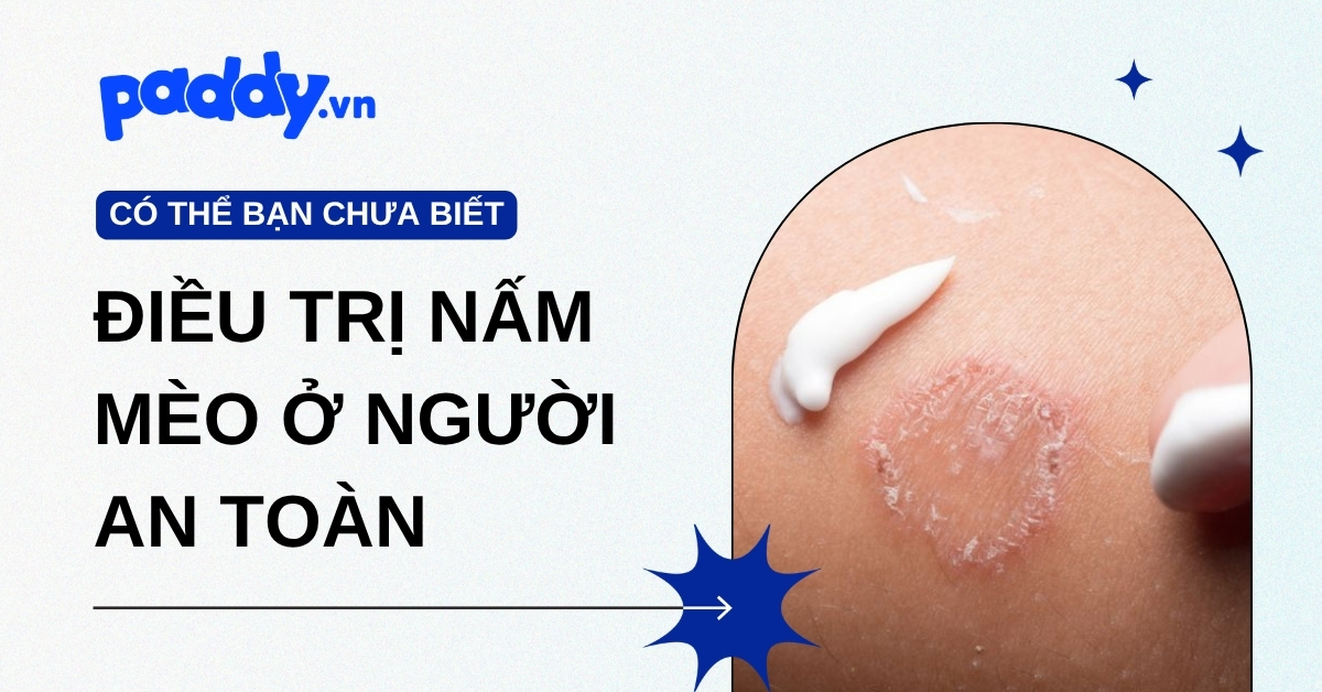Điều Trị Nấm Mèo Ở Người An Toàn