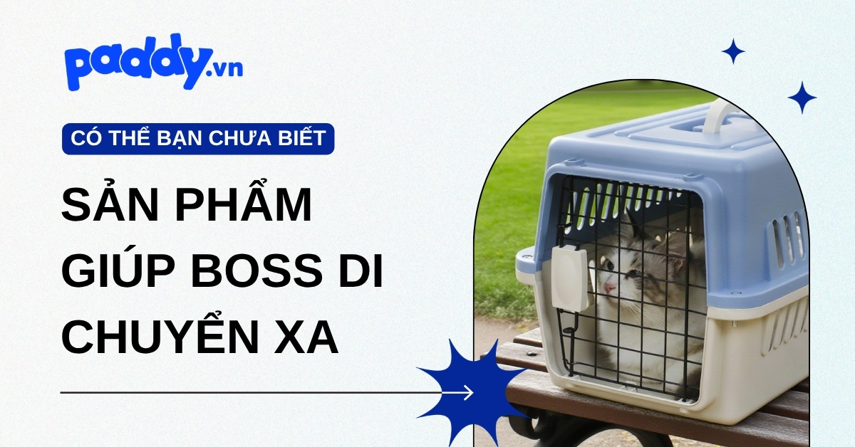 Các sản phẩm giúp Boss đỡ stress khi di chuyển xa