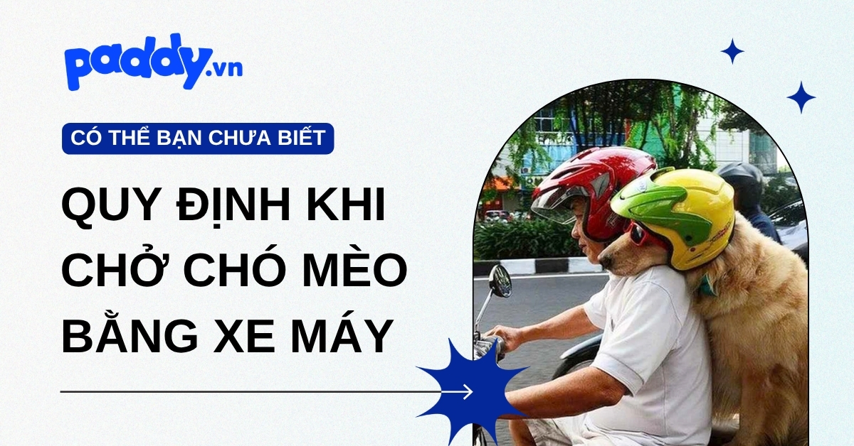 Những quy định khi chở chó mèo bằng xe máy