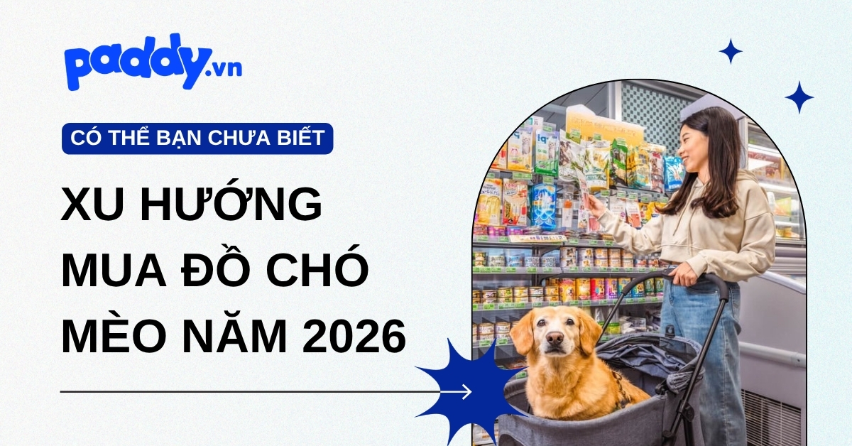 Xu hướng mua đồ chó mèo năm 2026: Những gì pet-parent nên biết