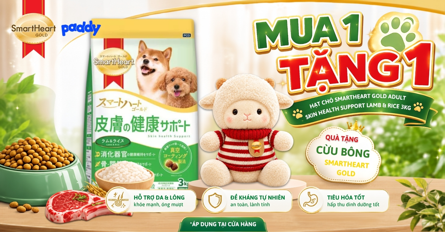MUA 1 TẶNG 1 SMARTHEART GOLD – RINH HẠT XỊN, NHẬN CỪU XINH