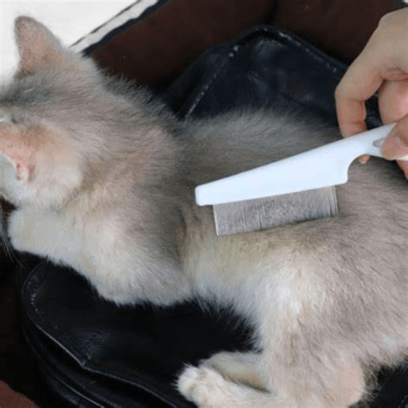 Lược Chải Ve Rận Cho Chó Mèo - Paddy Pet Shop