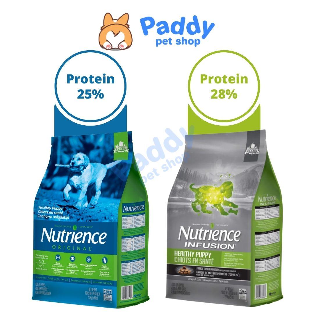 Hạt Nutrience Infusion Puppy Chó Con - Paddy Pet Shop