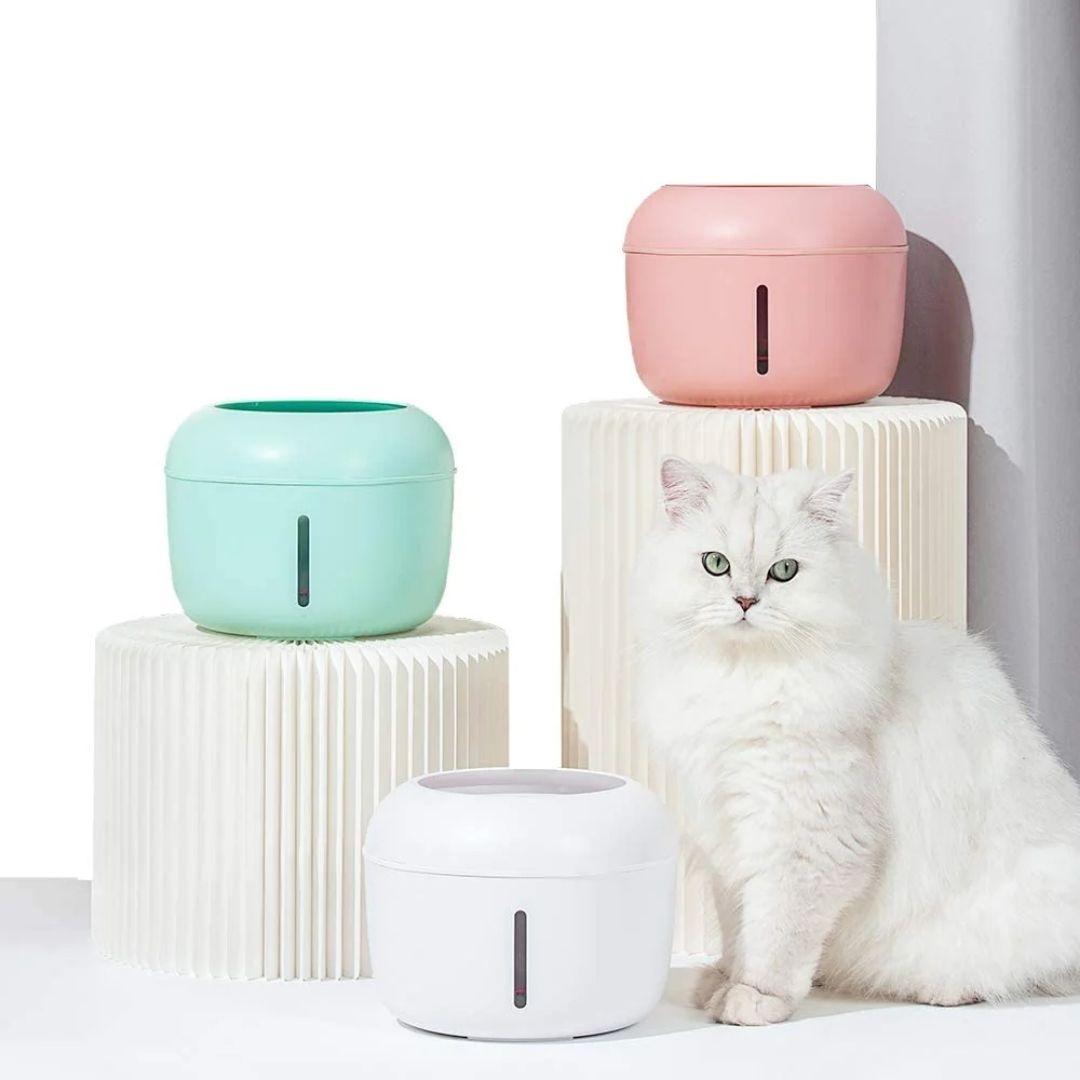 Máy Lọc Uống Nước Tự Động Pakeway Cho Chó Mèo (2.5L) - Paddy Pet Shop