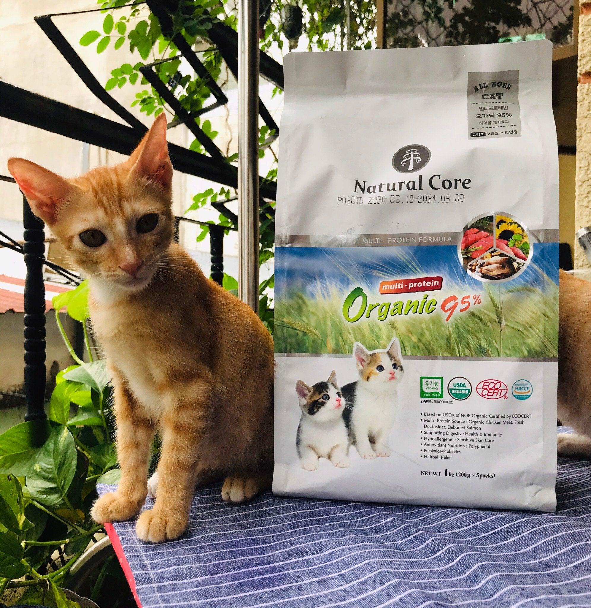 Thức Ăn Hạt Cho Mèo Mọi Lứa Tuổi Natural Core 95% Hữu Cơ 1kg - Paddy Pet Shop