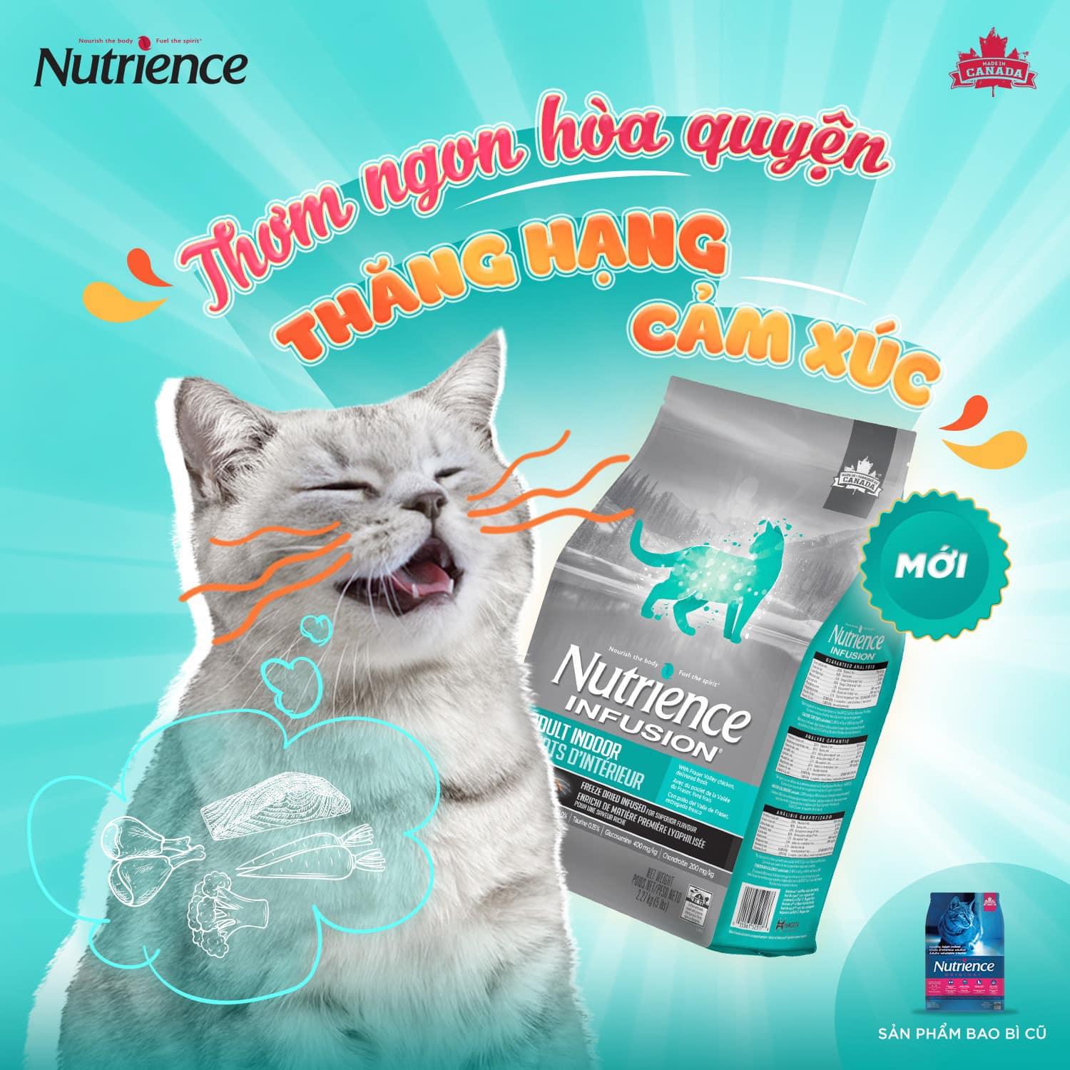 Hạt Nutrience Infusion Adult Indoor Cho Mèo Trưởng Thành - Paddy Pet Shop