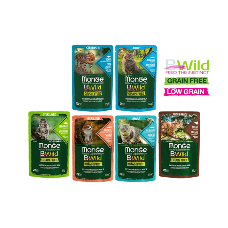 Pate Mèo Monge BWild Nhiều Vị Gói 85g - Paddy Pet Shop