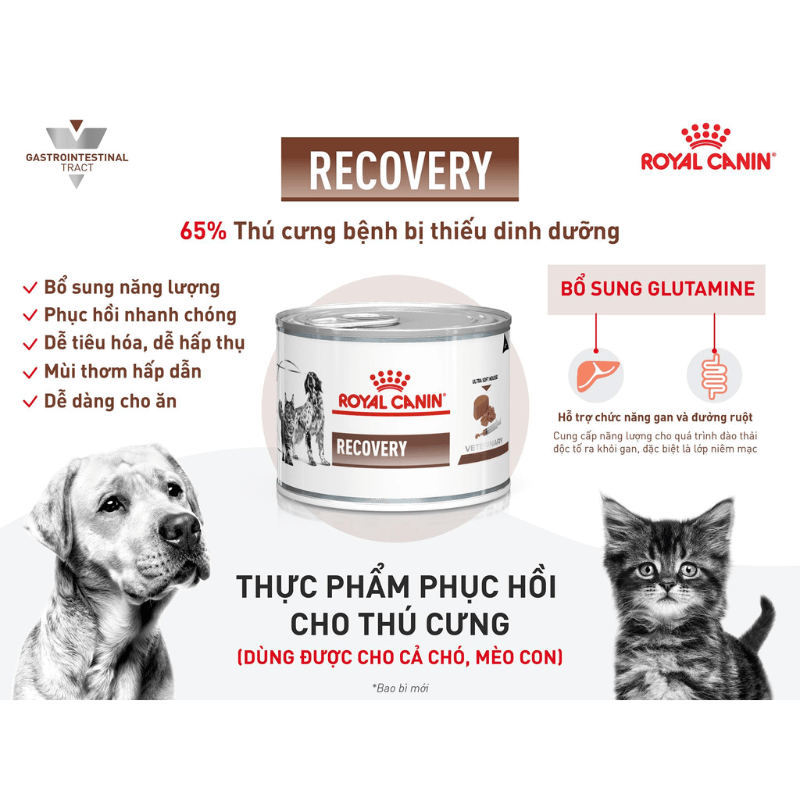 Pate Cho Chó Mèo Phục Hồi Sức Khỏe Royal Canin Recovery Lon 195g