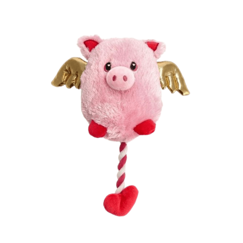 Đồ Chơi Cho Chó FOFOS Love Dog - Paddy Pet Shop