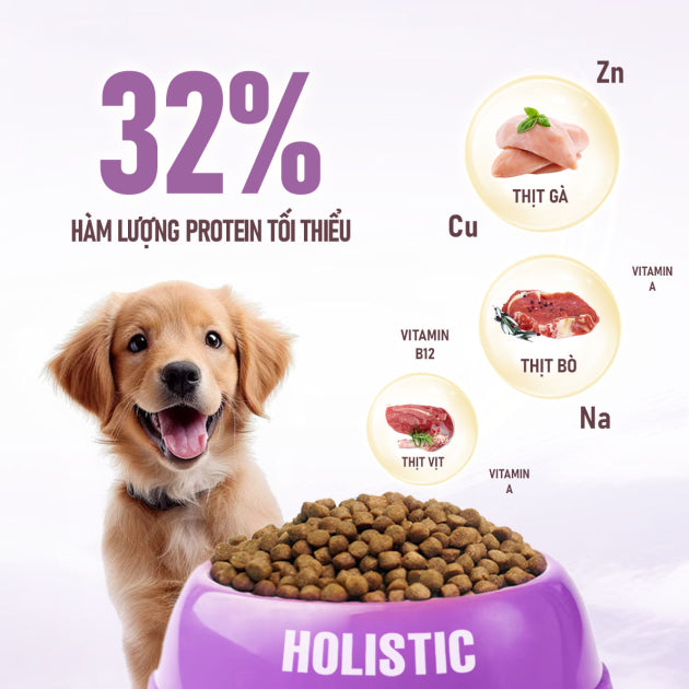 Hạt Cho Chó Mọi Lứa Tuổi ANF Holistic