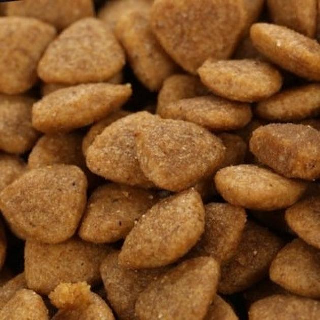 Hạt Cho Mèo Mọi Lứa Tuổi Catsrang - Paddy Pet Shop