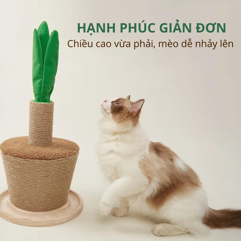 Trụ Cào Móng Mèo FOFOS Hình Chậu Cây - Paddy Pet Shop