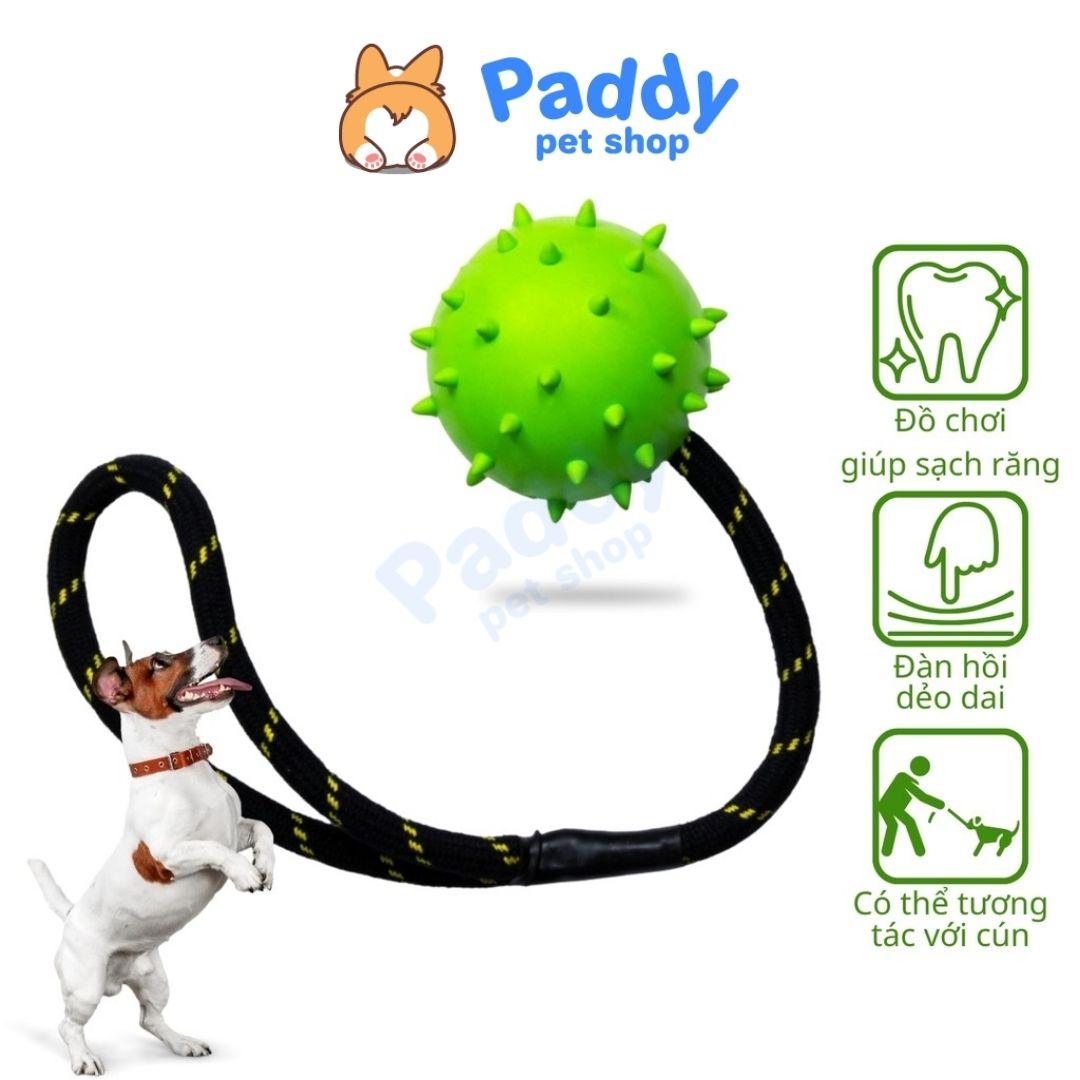 Đồ Chơi Cho Chó Banh Gai Cao Su Đính Dây Thừng Tpet - Paddy Pet Shop