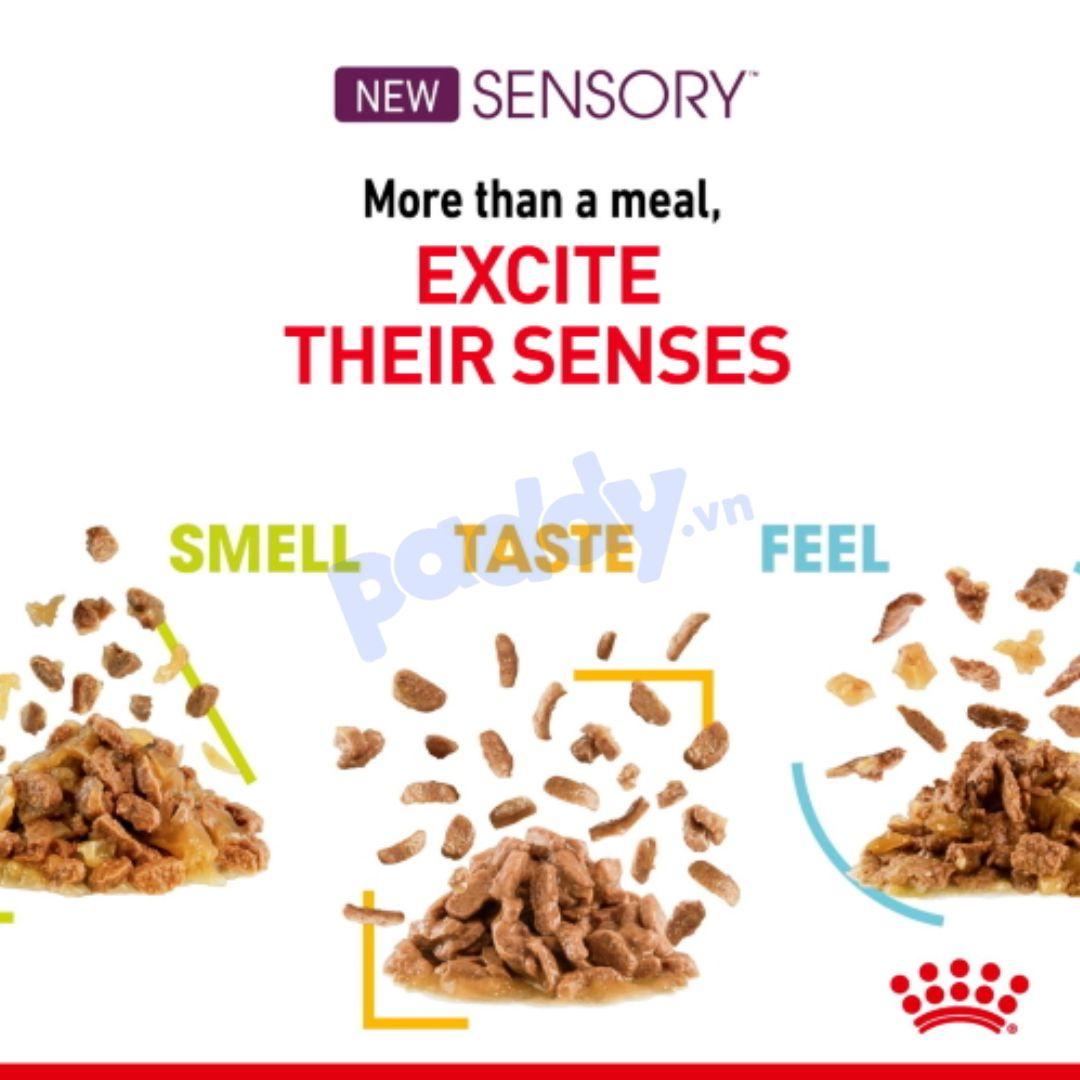 Pate Mèo Royal Canin Sensory Kích Thích Giác Quan 85g - Paddy Pet Shop