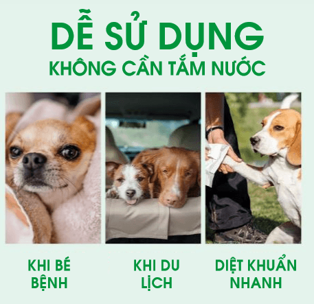 Dầu Tắm Khô Hữu Cơ Chó Mèo Tropiclean Organic Waterless Shampoo (Mỹ) - Paddy Pet Shop