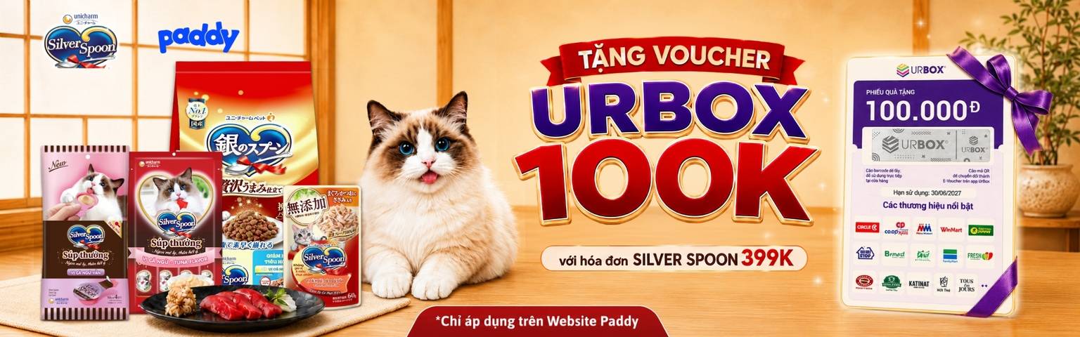 SS urbox