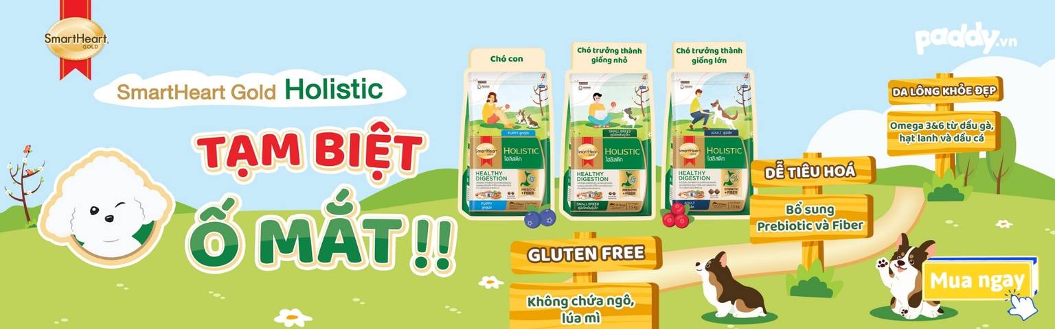 Smartheart Gold Holistic