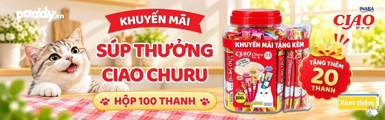 M1T20 CIAO CHURU