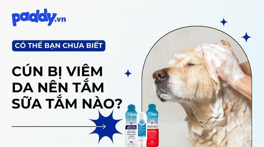 Top 10 sữa tắm viêm da cho chó mèo tốt nhất hiện nay