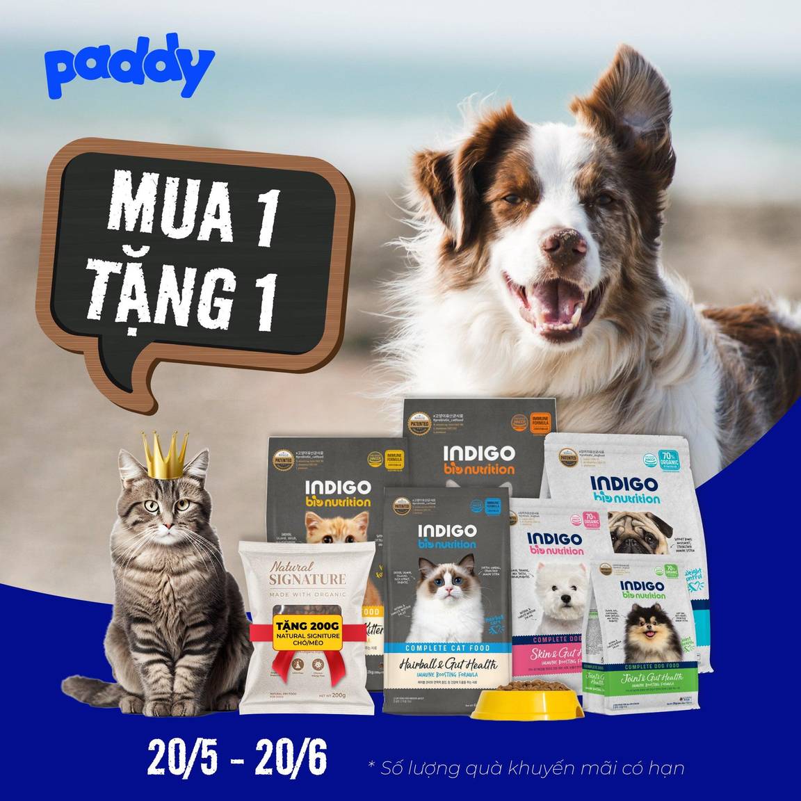Khuyến Mãi MUA 1 TẶNG 1 - Thức Ăn Chó Mèo Indigo & Natural Signature