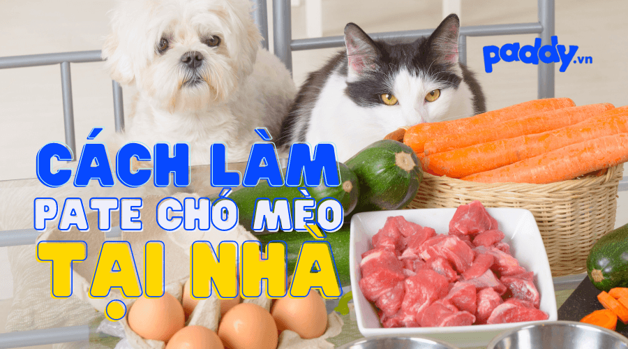 Pate Tươi Cho Chó Mèo, Cách Tự Làm Pate Tươi Tại Nhà