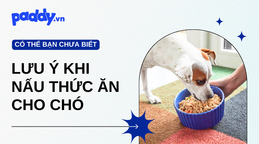 Nấu Thức Ăn Cho Chó Tại Nhà Cần Lưu Ý Những Gì?