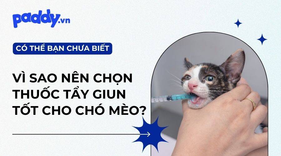 So Sánh Các Loại Thuốc Tẩy Giun Chó Mèo