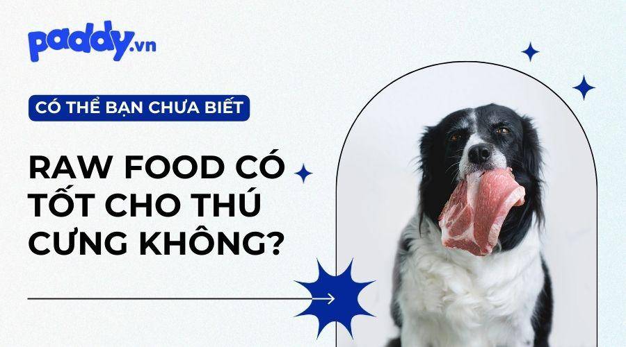 Có Nên Cho Chó Mèo Ăn Raw Food Không?