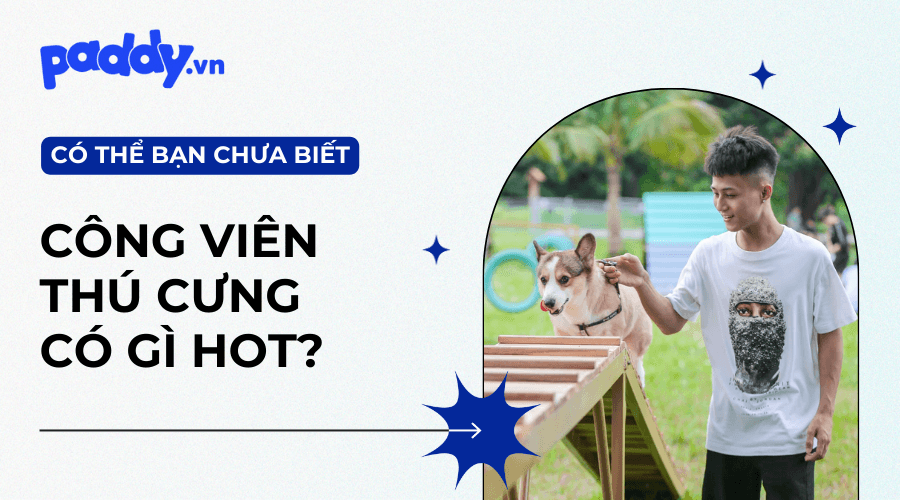 Công Viên Thú Cưng Chuyên Dụng Có Gì?
