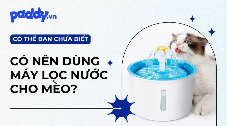 Máy lọc nước cho mèo tốt nhất thị trường