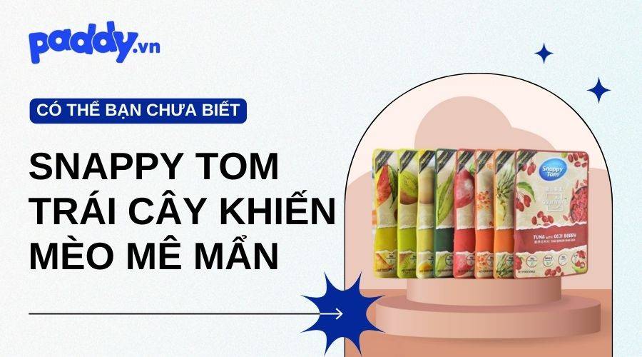 Pate Snappy Tom Trái Cây Có Gì Mà Khiến Mèo Mê Mẩn