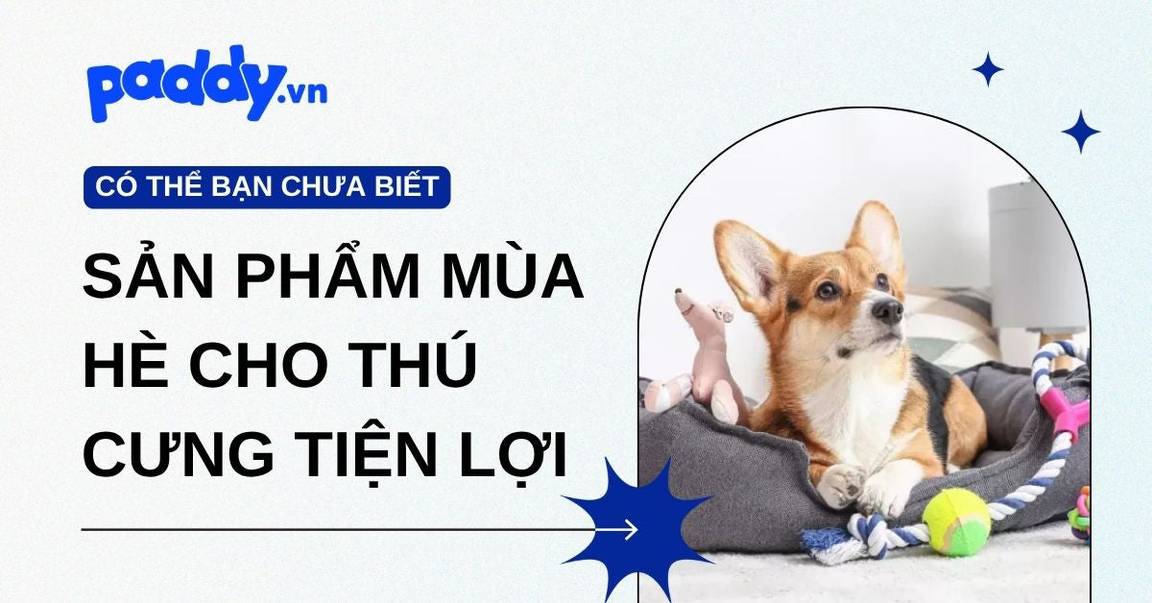 Combo sản phẩm mùa hè cho thú cưng cần thiết, tiện lợi