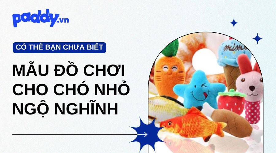 Gợi Ý Các Mẫu Đồ Chơi Cho Chó Con, Chó Nhỏ Ngộ Nghĩnh