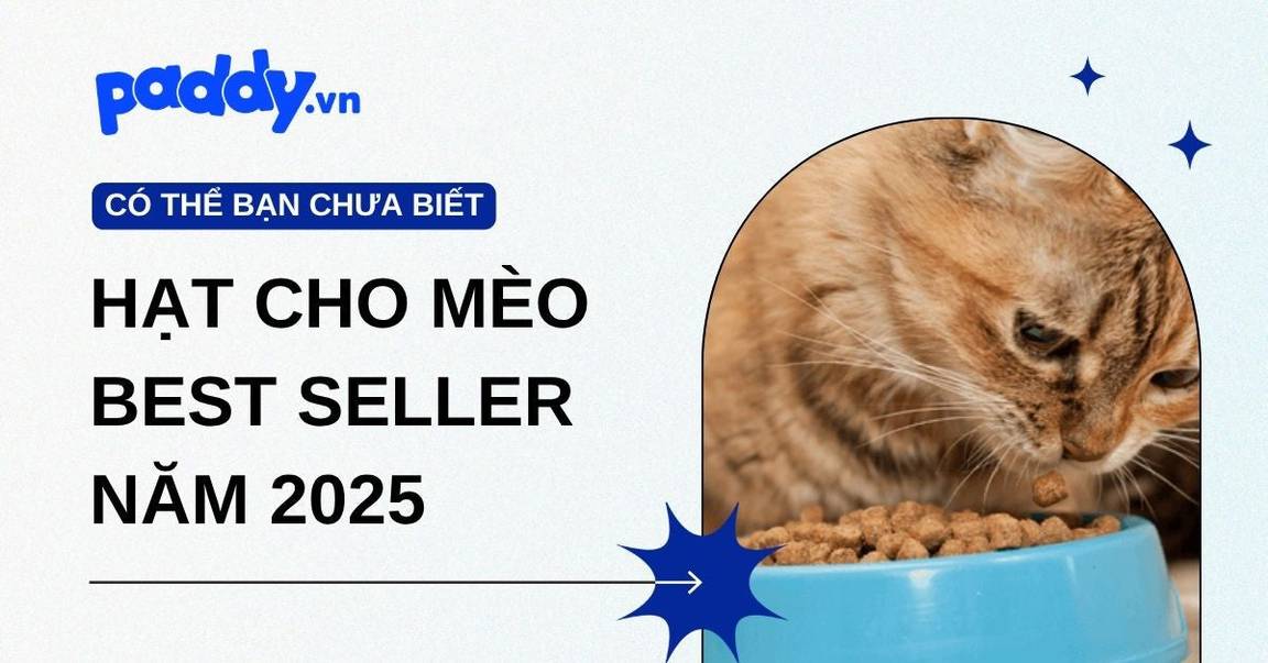 Các loại hạt cho mèo best-seller năm 2025