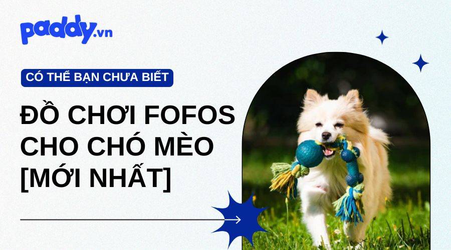 Các Dòng Đồ Chơi Fofos Cho Chó Mèo [Mới Nhất]