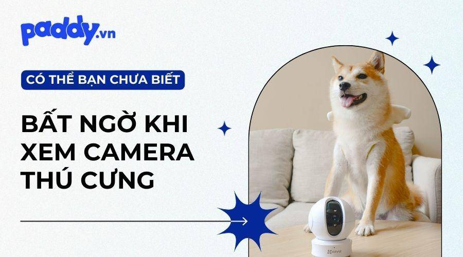 Camera Thú Cưng Mang Lại Lợi Ích Gì?
