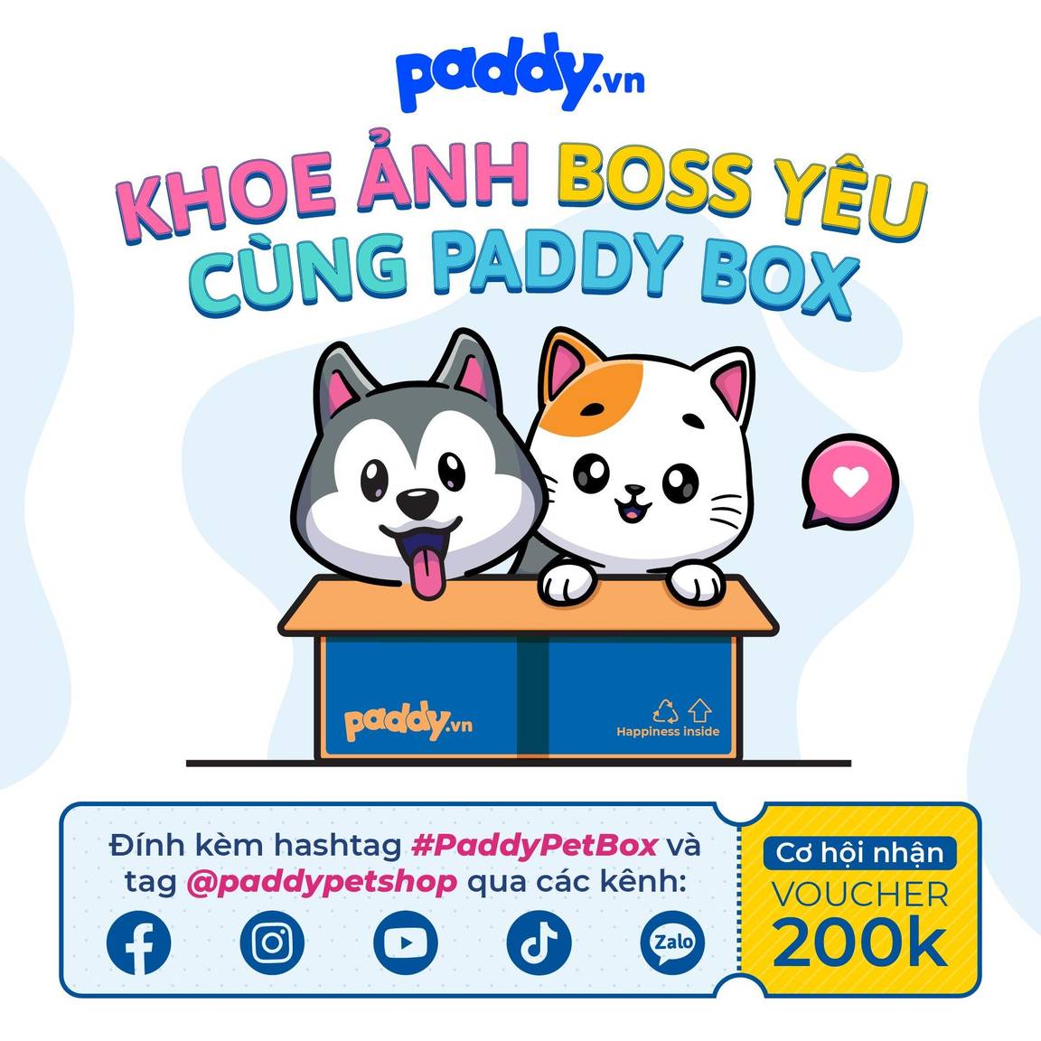 Check-in Cùng Paddy Box Có Cơ Hội Nhận Ngay Voucher 200K