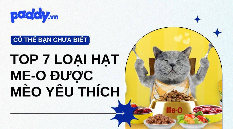 Top 7 Loại Hạt Me-O Được Yêu Thích Nhất Hiện Nay