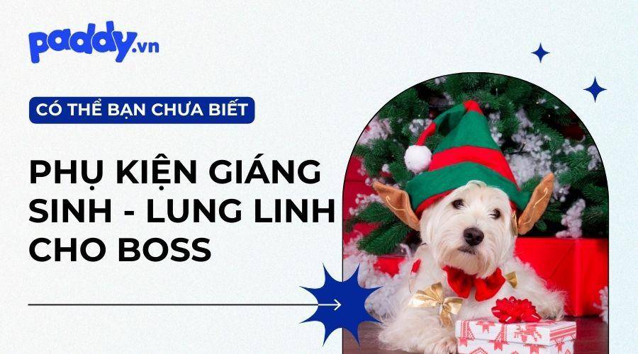 Tổng Hợp Các Mẫu Phụ Kiện Giáng Sinh Cho Chó Mèo 2023