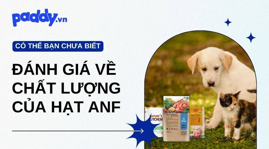 Đánh Giá Chung Về Chất Lượng Và Thành Phần Của Hạt ANF