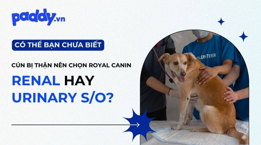 So Sánh Royal Canin Renal & Royal Canin Urinary